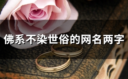 佛系不染世俗的网名两字(176个)