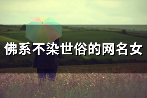 佛系不染世俗的网名女(优选174个)