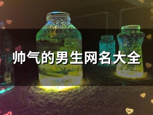 帅气的男生网名大全(共186个)