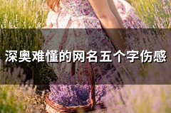深奥难懂的网名五个字伤感(162个)