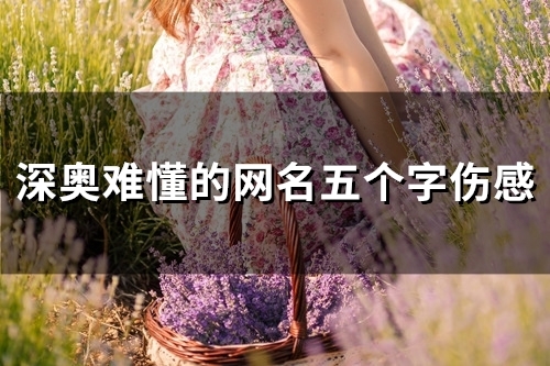 深奥难懂的网名五个字伤感(162个) 深奥难懂的网名五个字伤感(162个)