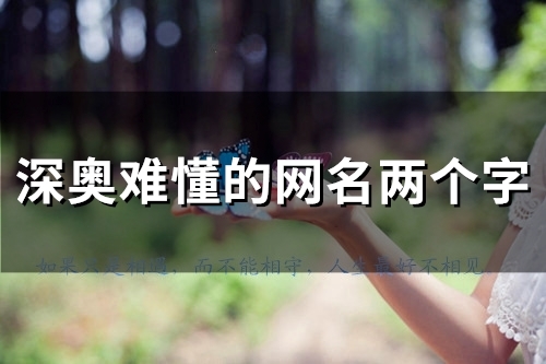 深奥难懂的网名两个字(共178个)