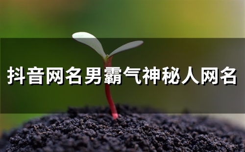 抖音网名男霸气神秘人网名(优选192个)