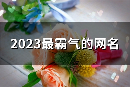 2023最霸气的网名(精选168个)