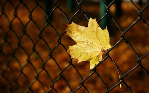 qq网名男生心爱昵称(优选179个)