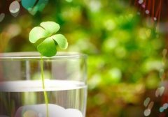 爱情苦涩很伤感的个性网名(精选142个)