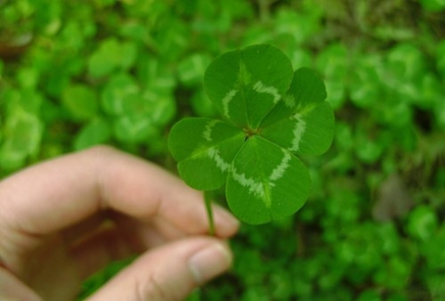 陌生少年qq网名(精选198个)