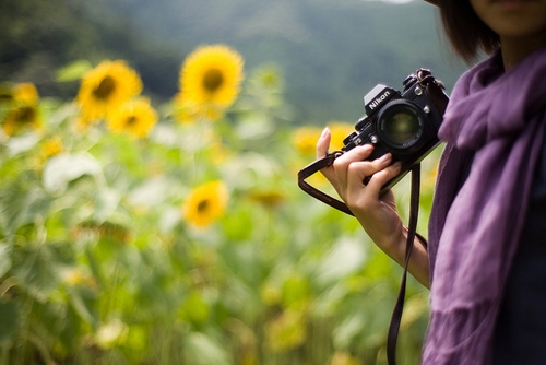 最新清新淡雅的伤感网名(173个) 最新清新淡雅的伤感网名(173个)