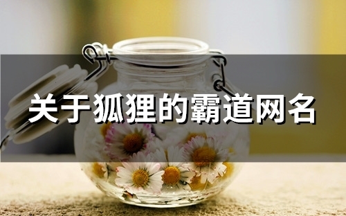 关于狐狸的霸道网名(113个)