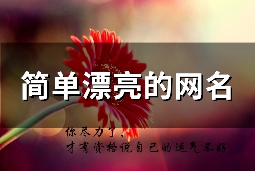 简单漂亮的网名(优选85个)