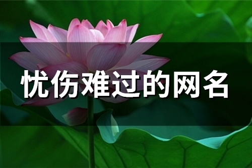 忧伤难过的网名(85个) 忧伤难过的网名(85个)