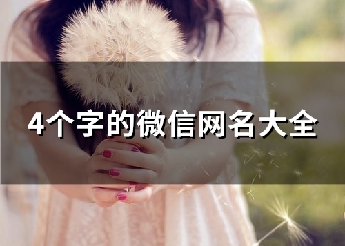4个字的微信网名大全(共103个) 4个字的微信网名大全(共103个)