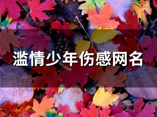 滥情少年伤感网名(优选80个) 滥情少年伤感网名(优选80个)