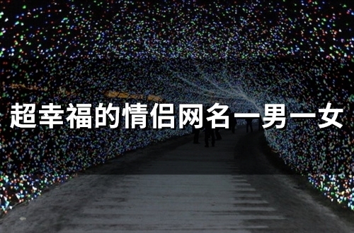 超幸福的情侣网名一男一女(106个)
