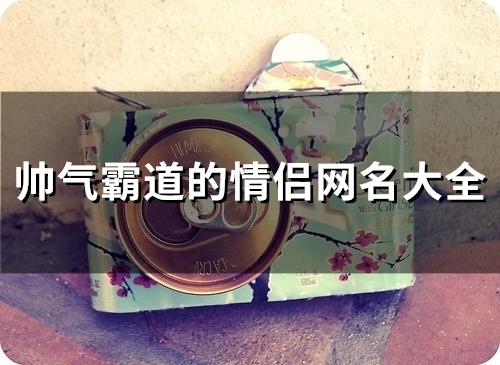 帅气霸道的情侣网名大全(105个)