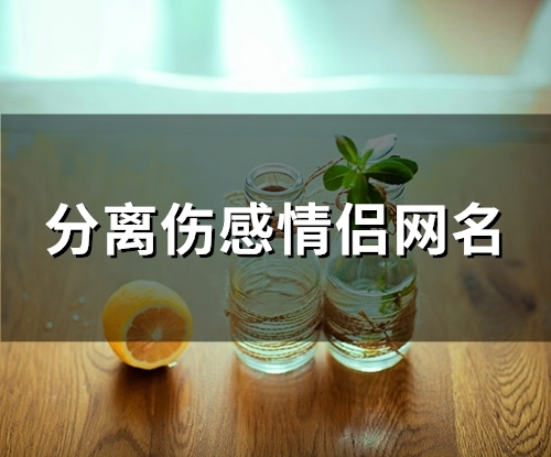 分离伤感情侣网名(共91个) 分离伤感情侣网名(共91个)