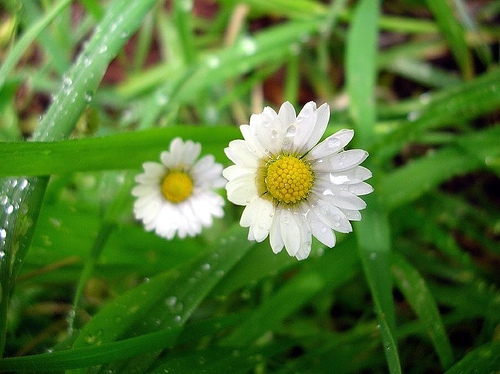 2023最火霸气的网名(精选113个)