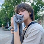 微信头像图片大全清新2023男(优选18张)