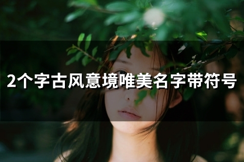 2个字古风意境唯美名字带符号(精选116个)