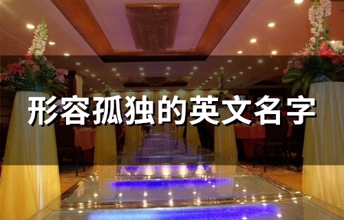 形容孤独的英文名字(精选103个)