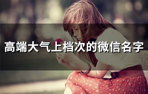 高端大气上档次的微信名字(共119个) 高端大气上档次的微信名字(共119个)