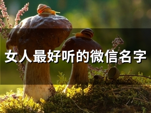 女人最好听的微信名字(共108个)
