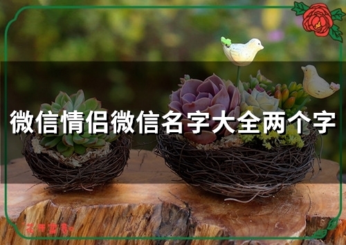 微信情侣微信名字大全两个字(精选55个) 微信情侣微信名字大全两个字(精选55个)