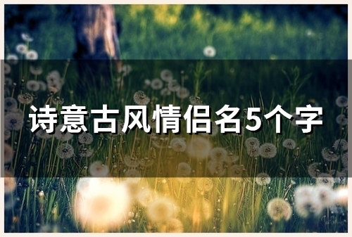 诗意古风情侣名5个字(精选98个)