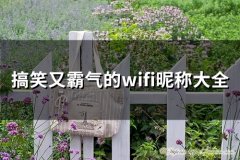 搞笑又霸气的wifi昵称大全(93个)