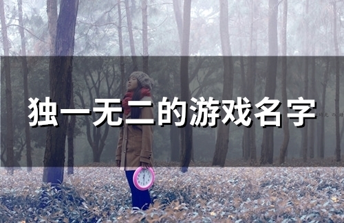 独一无二的游戏名字(精选86个)