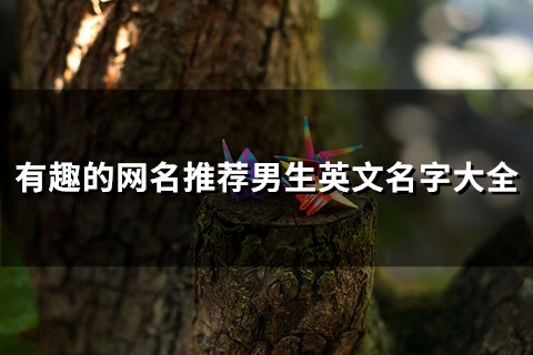 有趣的网名推荐男生英文名字大全(83个)