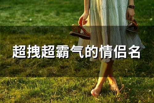 超拽超霸气的情侣名(优选113个) 超拽超霸气的情侣名(优选113个)