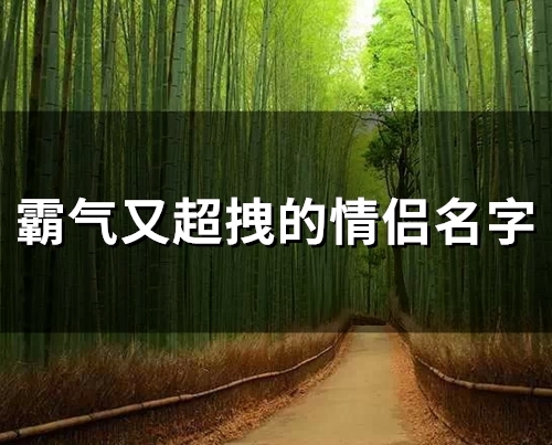 霸气又超拽的情侣名字(优选91个)