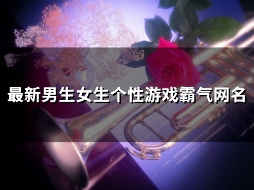 最新男生女生个性游戏霸气网名(精选119个)