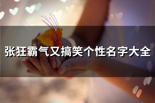 张狂霸气又搞笑个性名字大全(优选105个)