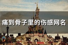 痛到骨子里的伤感网名(优选85个)