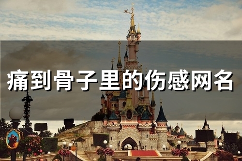 痛到骨子里的伤感网名(优选85个)