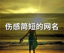 伤感简短的网名(94个)