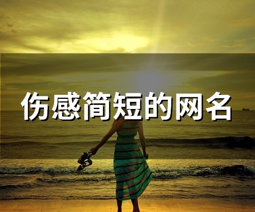 伤感简短的网名(94个)