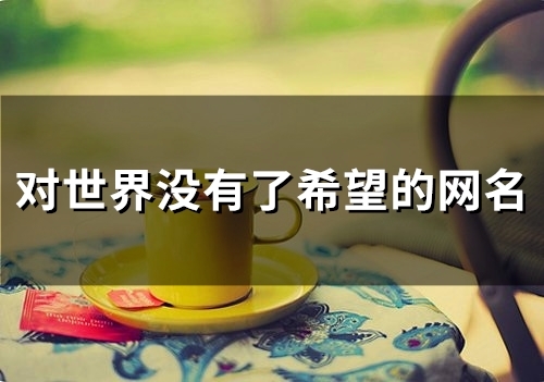 对世界没有了希望的网名(93个)