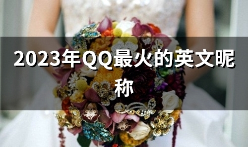 2023年QQ最火的英文昵称(共99个)