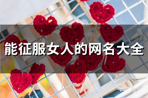 能征服女人的网名大全(共100个) 能征服女人的网名大全(共100个)