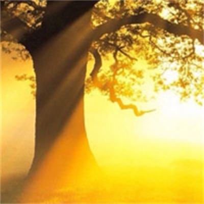 有意境唯美的微信头像(精选18张)