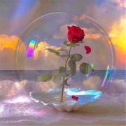 小清新女生微信头像图片大全(18张)