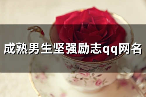 成熟男生坚强励志qq网名(精选113个)
