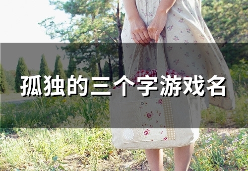 孤独的三个字游戏名(优选81个) 孤独的三个字游戏名(优选81个)