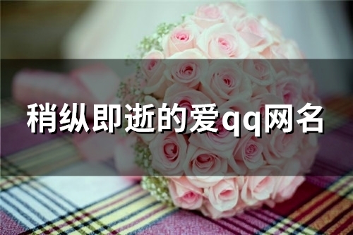 稍纵即逝的爱qq网名(精选120个)