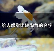 给人感觉比较淘气的名字(共93个)