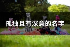 孤独且有深意的名字(精选110个)