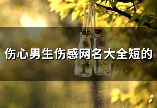 伤心男生伤感网名大全短的(共91个)